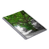 Carnet Arbre puissant (Côté Droit)