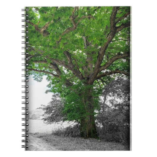 Carnet Arbre puissant (Devant)
