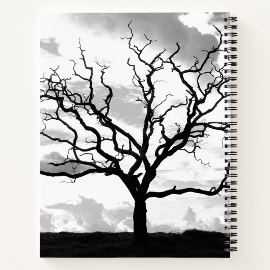 Carnet Arbre sans feuille (Dos)