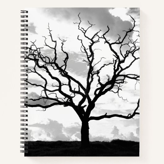 Carnet Arbre sans feuille (Devant)