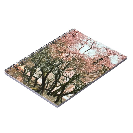 CARNET ARBRES (Côté gauche)