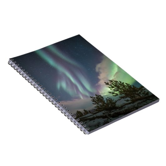 Carnet Arbres aurifères du Nord (Côté Droit)