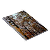Carnet arbres Brown (Côté Droit)