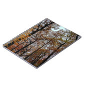 Carnet arbres Brown (Côté gauche)