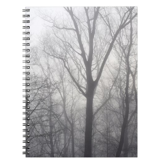 Carnet Arbres brumeux bois gris (Devant)