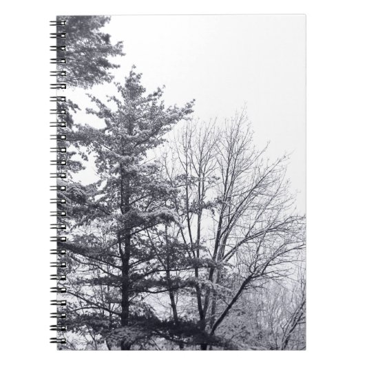 Carnet Arbres couverts de neige : Horizontaux (Devant)