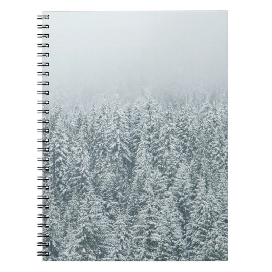 CARNET ARBRES COUVRANT LA NEIGE (Devant)