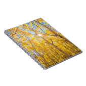 Carnet Arbres d'Aspen | Sierra Nevada Mountains, CA (Côté Droit)