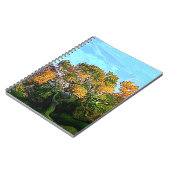 CARNET ARBRES D'AUTOMNE (Côté gauche)