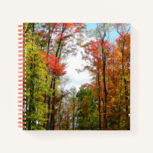 Carnet Arbres d'automne et ciel bleu Photographie de la n