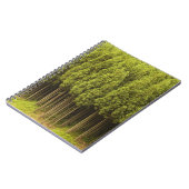 Carnet Arbres de cèdre de Koya Sugi (Côté gauche)