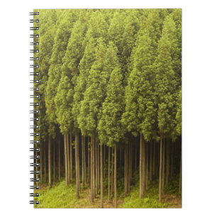 Carnet Arbres de cèdre de Koya Sugi