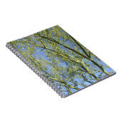 Carnet Arbres de Palo Verde (Côté Droit)
