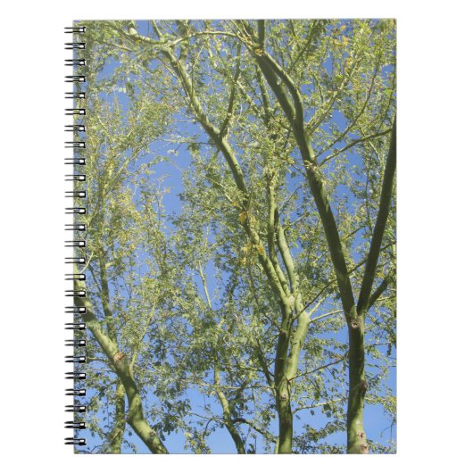 Carnet Arbres de Palo Verde (Devant)