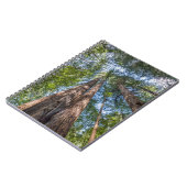 Carnet Arbres de séquoia | Comté de Marin, Californie (Côté gauche)