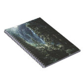 Carnet Arbres Et Cascades (Côté Droit)