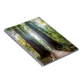 Carnet Arbres grands (Côté Droit)