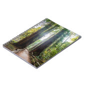 Carnet Arbres grands (Côté gauche)