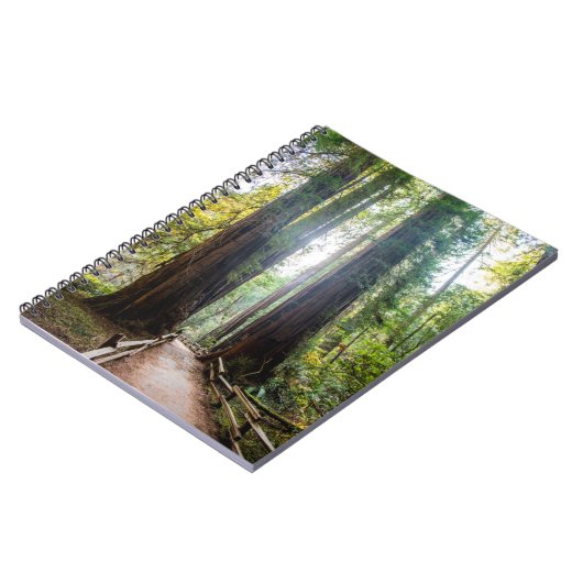 Carnet Arbres grands (Côté gauche)