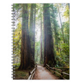 Carnet Arbres grands (Devant)