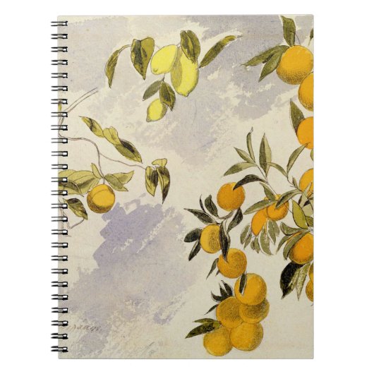 Carnet Arbres oranges, 1863 (la semaine, graphite fini à (Devant)