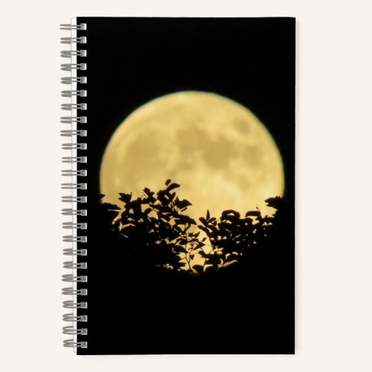 Carnet Arbres rétroéclairés par la pleine lune (Recto)