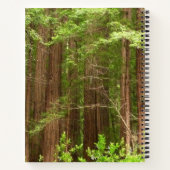 Carnet Arbres séquoias du monument national Muir Woods (Dos)