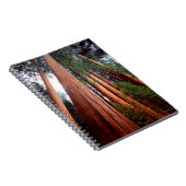 Carnet Arbres séquoias géants à feuilles persistantes (Côté Droit)