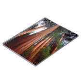 Carnet Arbres séquoias géants à feuilles persistantes (Côté gauche)