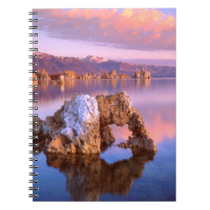 Carnet Arc de tufière du Mono Lake
