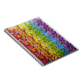 Carnet Arc en ciel des papillons (Côté Droit)