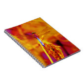 Carnet Arc-en-ciel libellule sur ambre et fuschie (Côté Droit)