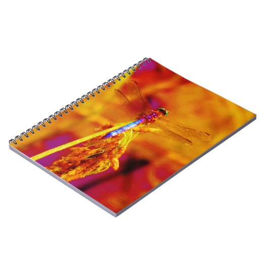 Carnet Arc-en-ciel libellule sur ambre et fuschie (Côté gauche)