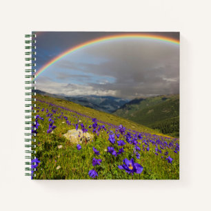 Carnet Arc En Ciel Sur Un pré Fleuri