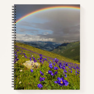 Carnet Arc En Ciel Sur Un pré Fleuri