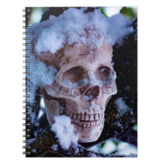 Carnet Arcane Hiver I (Devant)
