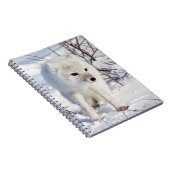 Carnet Arctic Fox, région de gestion de la faune de Churc (Côté Droit)