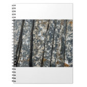 Carnet ardoise (Devant)