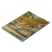 Carnet Ardoise dorée - Leopard reposant en feuillage (Côté gauche)