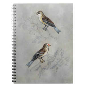 Carnet Argent Deux oiseaux