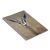Carnet Ariel (Côté Droit)