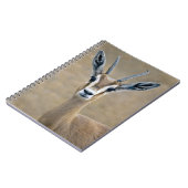 Carnet Ariel (Côté gauche)