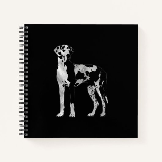 Carnet Arlequin Grande Danse - perle et argent (Devant)
