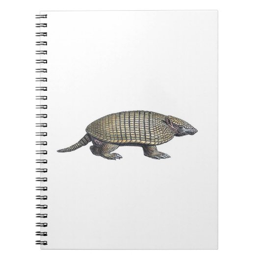 Carnet Armadillo (Devant)