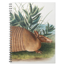 Armadillo Beige Or Neuf