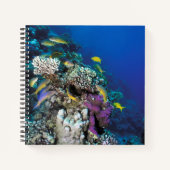 Carnet Around Small Coral (Devant)