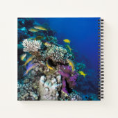Carnet Around Small Coral (Dos)