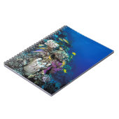 Carnet Around Small Coral (Côté gauche)