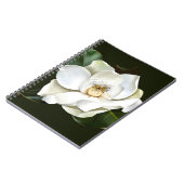 Carnet Arrière - plan blanc Magnolia Closeup Vert (Côté gauche)