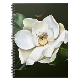 Carnet Arrière - plan blanc Magnolia Closeup Vert
